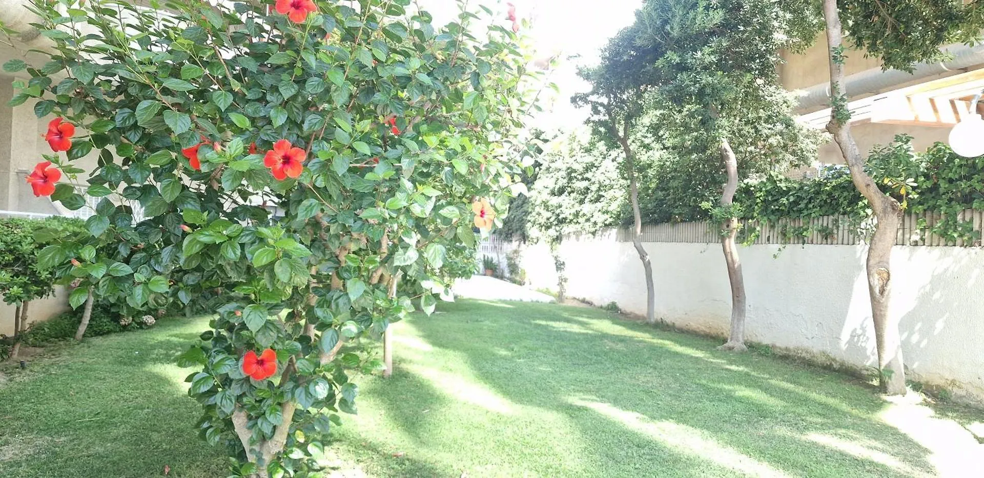 Elisabeth Apartment Salou Spain